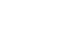 Fiat Chrysler